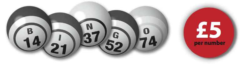 Bingo-ball-2-777×218