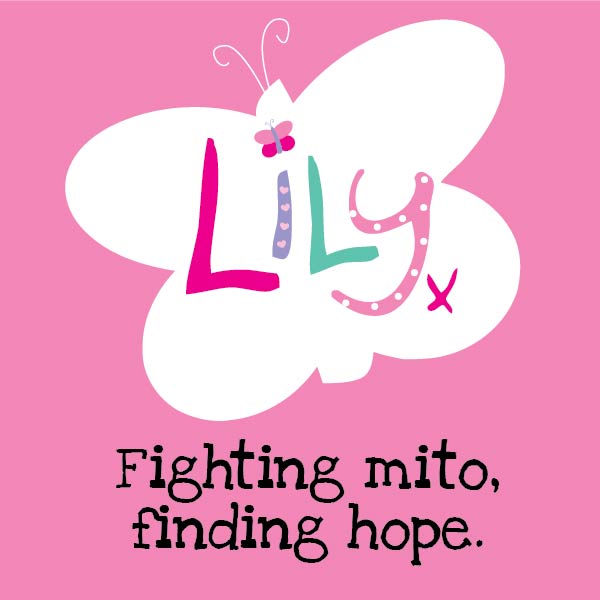 the lily foundation
